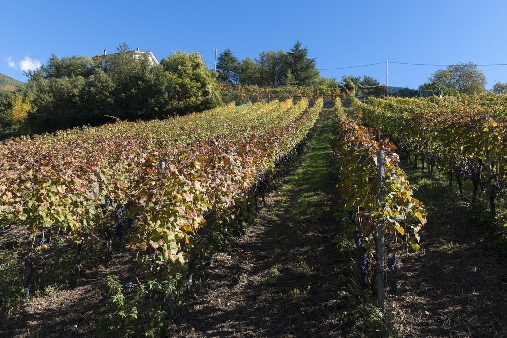 דירות אאוסטה Agriturismo Gli Elfi מראה חיצוני תמונה